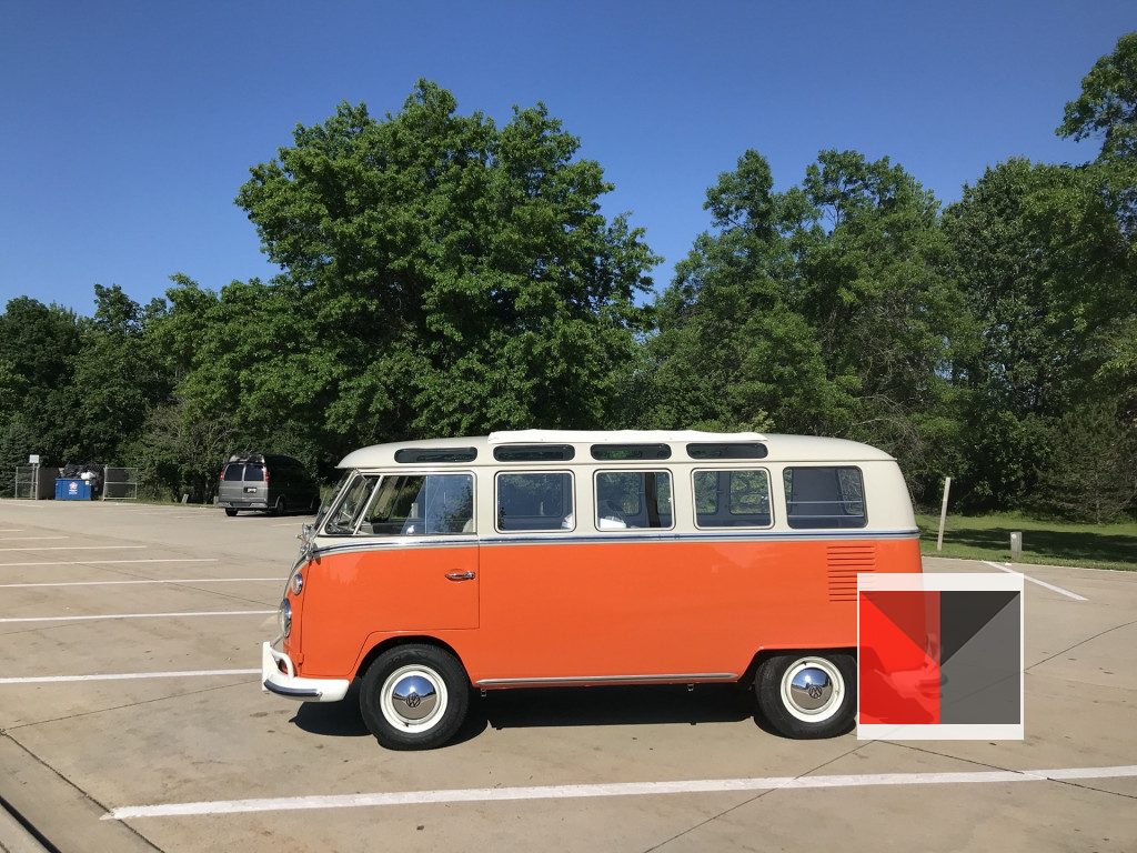 1967 vw bus attracts the kind buds we all need 6